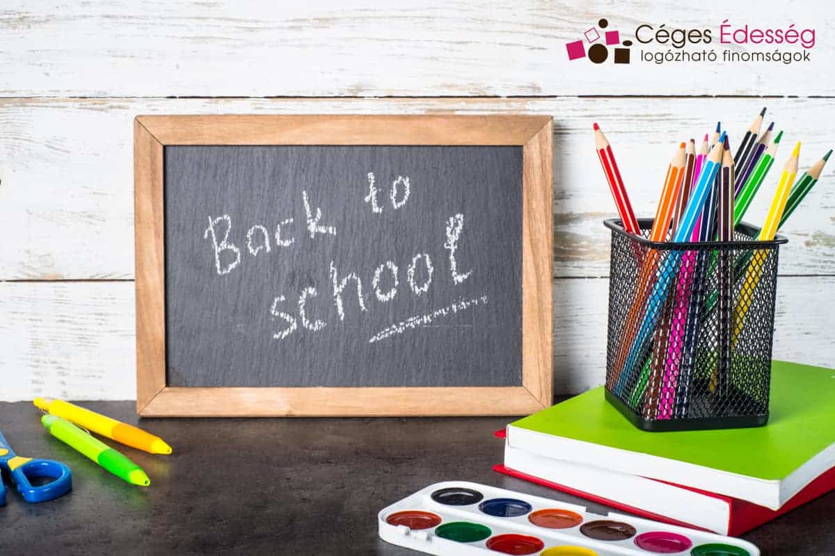 Read more about the article Vissza az iskolapadba