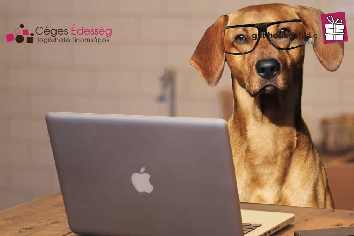 Read more about the article 3 dolog, amit nem tudtál a home office-ról