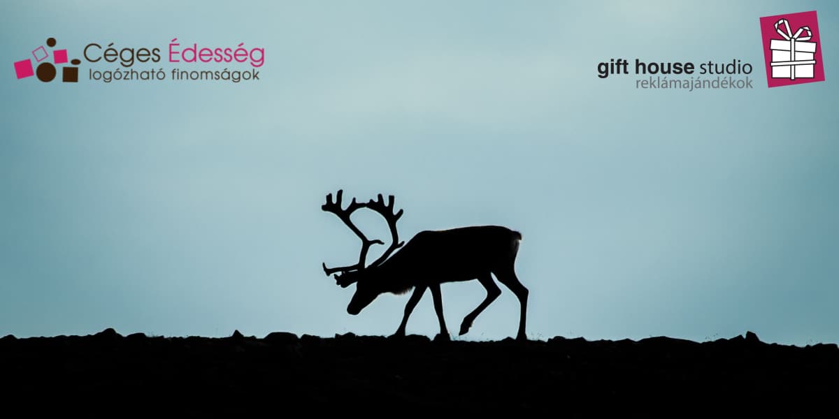 Read more about the article Idén mi szállítjuk az ajándékokat, nem a Mikulás ?