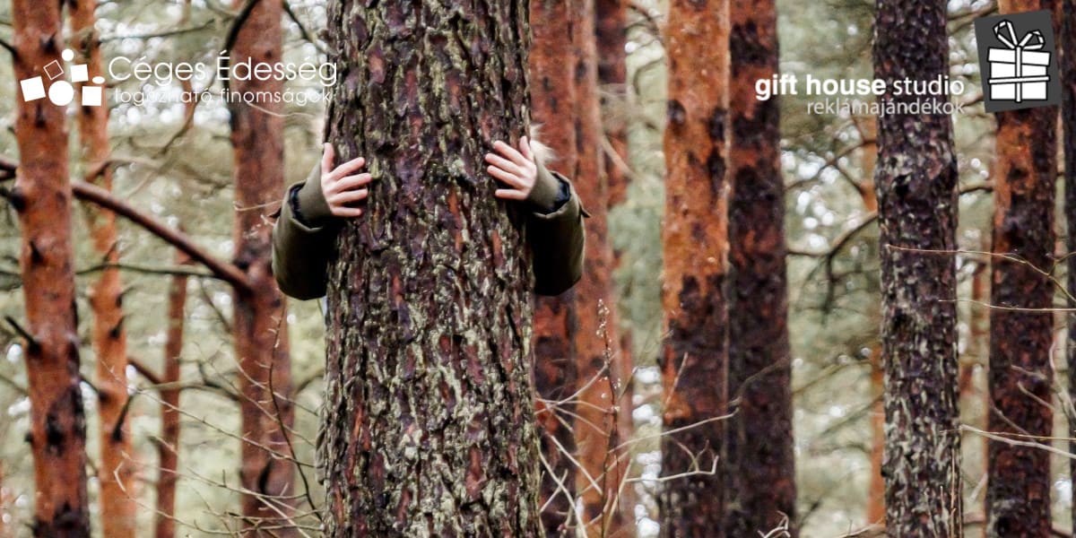 Read more about the article Adj fát ajándékba! ?