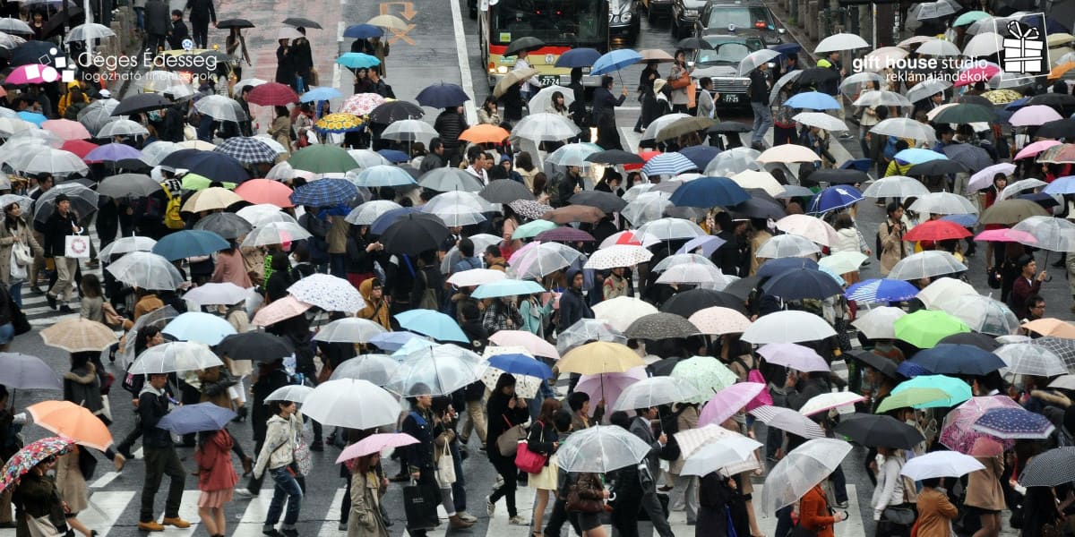 Read more about the article Hogyan tedd láthatóvá a vállalkozásodat ?