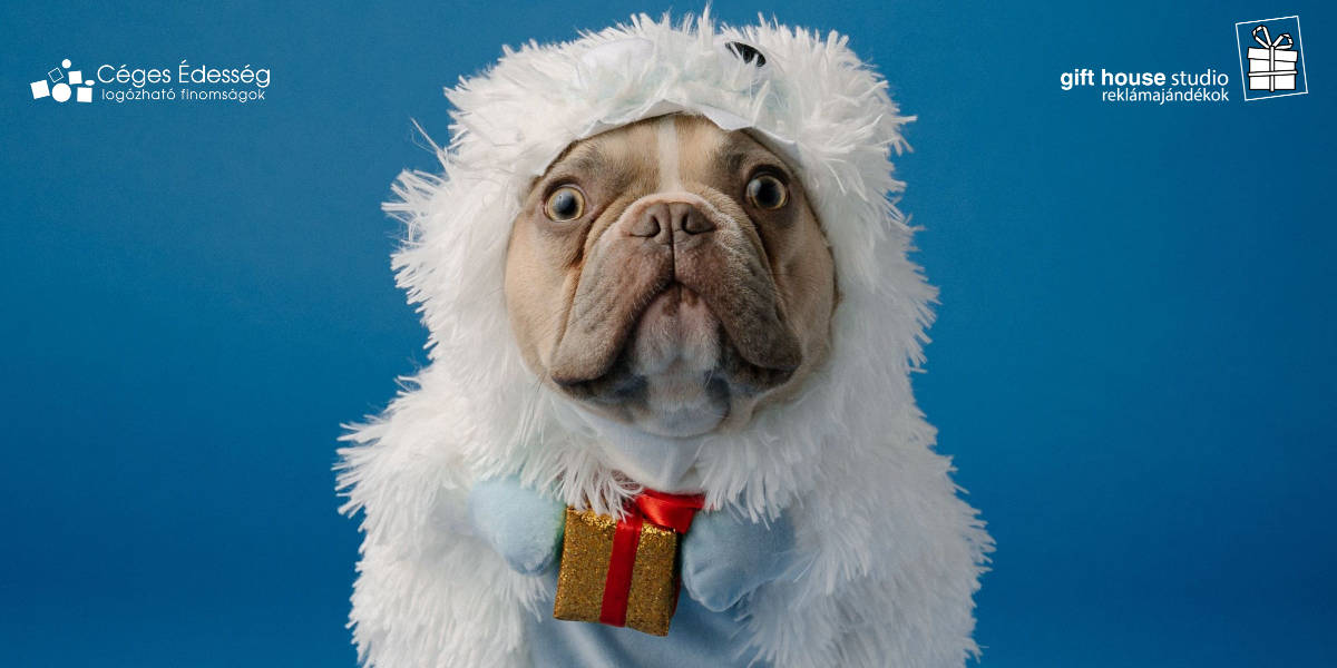 Read more about the article Hogyan érd el céges ajándékkal a célközönséged